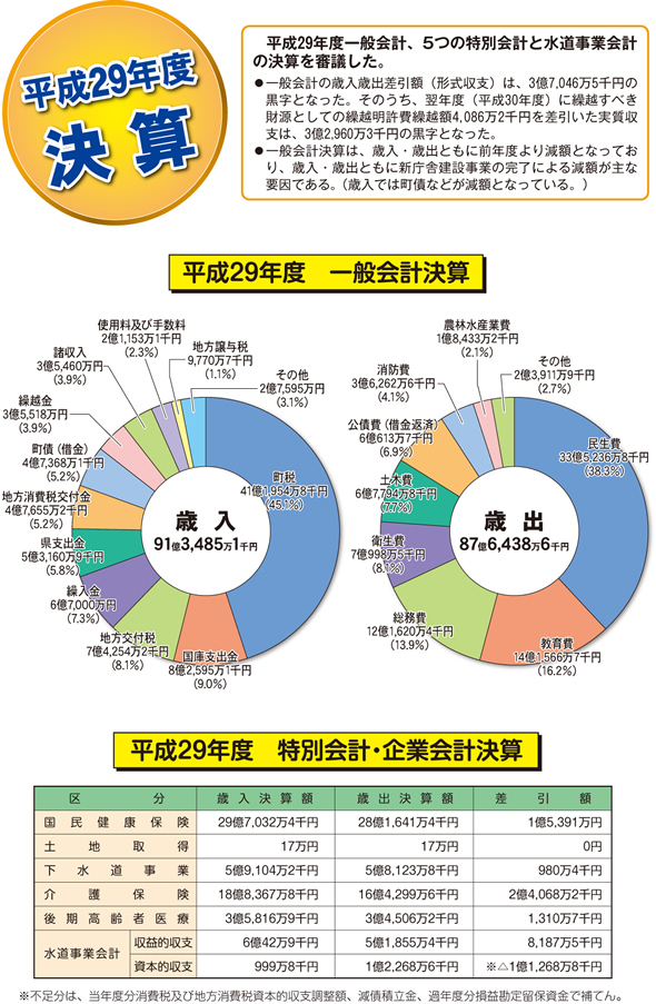 平成29年度 決算