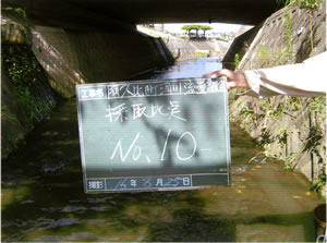 殿越川水質調査