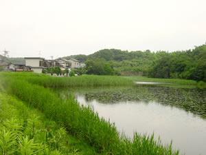 山田池の写真