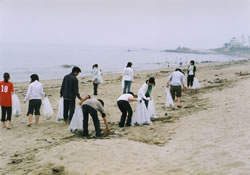 美浜海岸の清掃