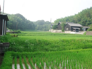 矢高地内