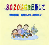 8020ڎw