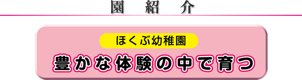 wZЉ p䏬wZ