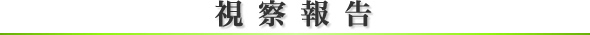 Cψ|[g
