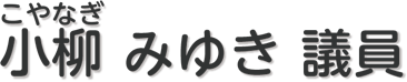小柳みゆき 議員