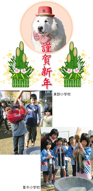 މVN