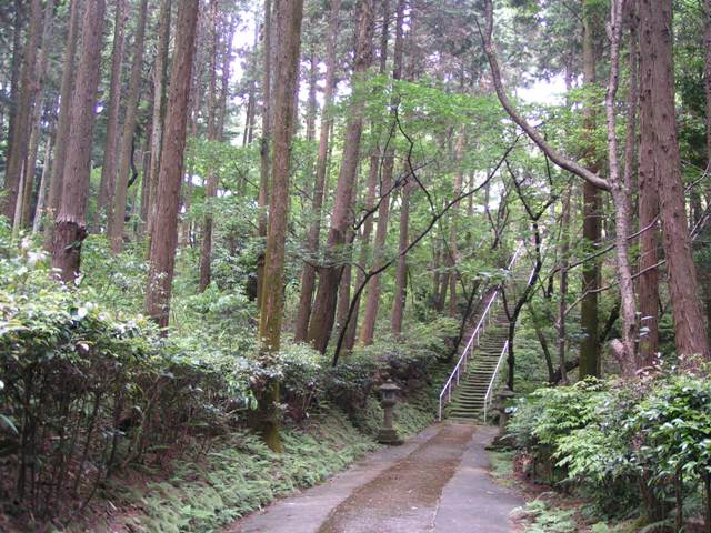 箭比神社の森