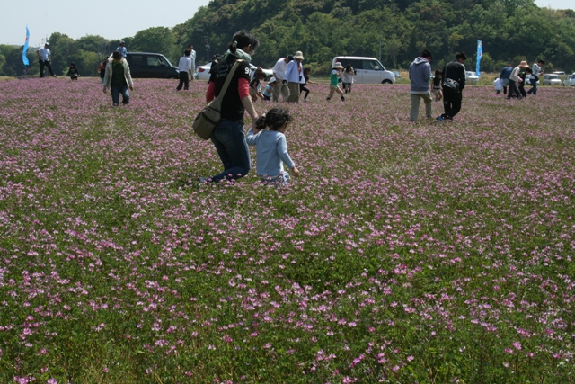 宝さがしゲーム