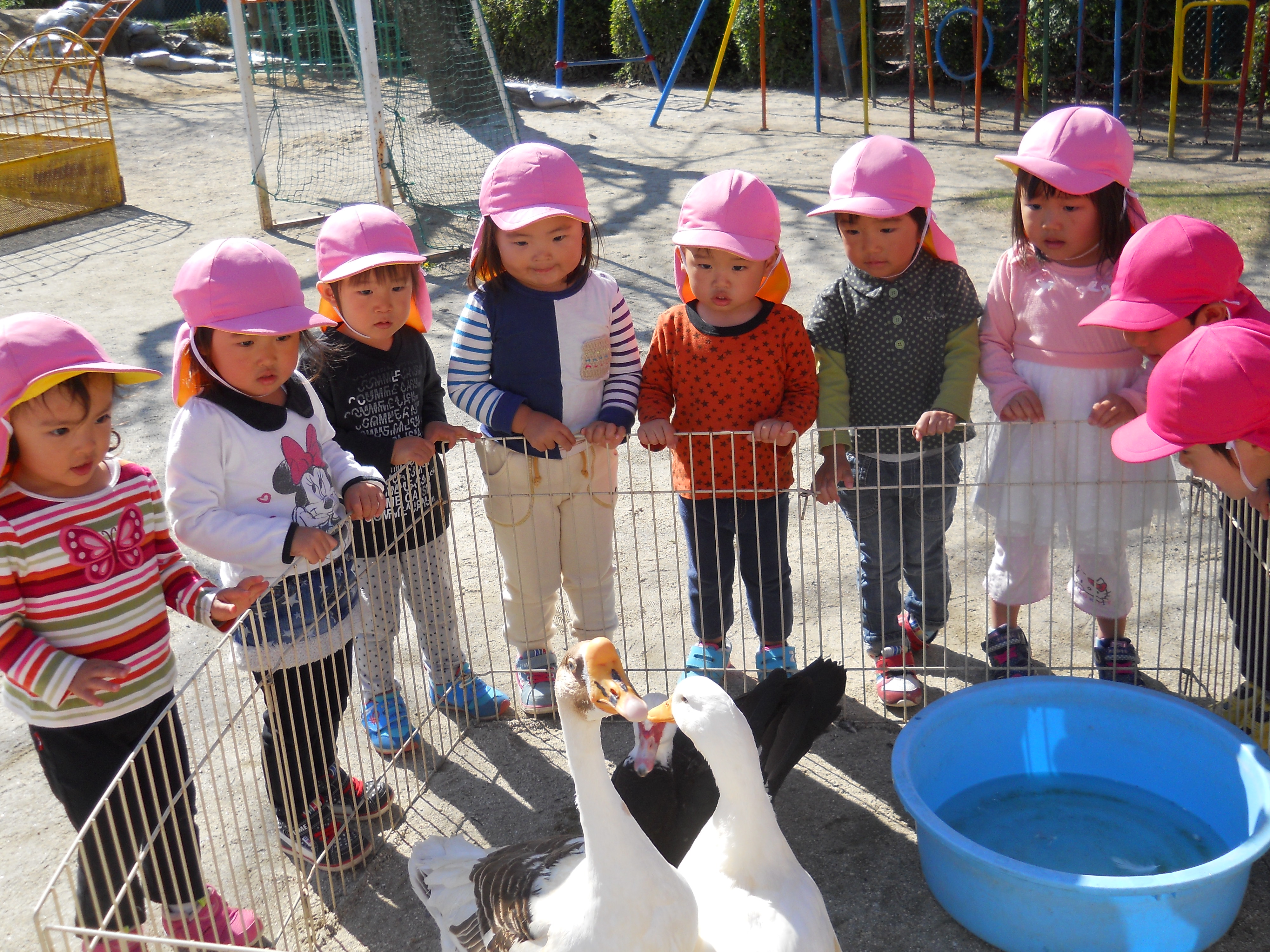 いちご動物園が来たよ 阿久比町