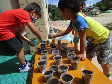 水やりをする子どもたち。