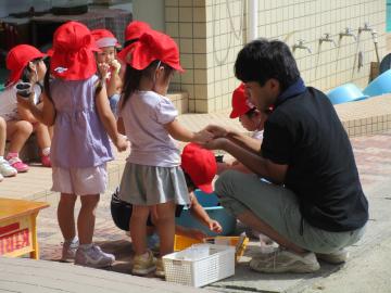 ラディッシュの種をまく子どもたち。