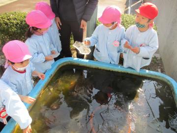 池の氷を触る子ども