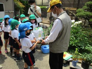 お手紙を渡す年長児