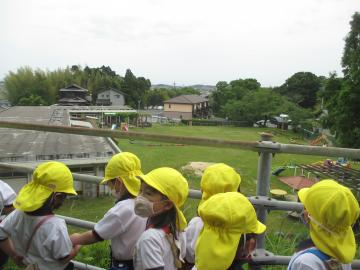 城山保育園