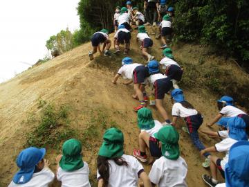 崖のぼりをする子どもたち。