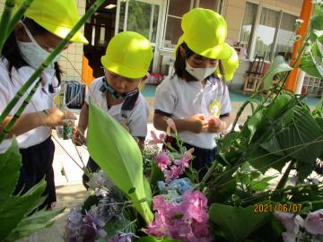 色が出る花を触る子ども達。