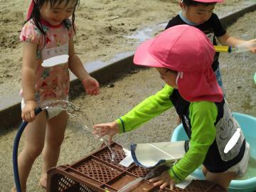 トイ流しをする子ども達