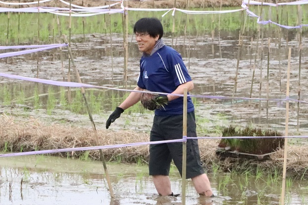 花かつみ