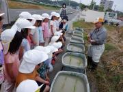 田植えの話を聞く子ども達