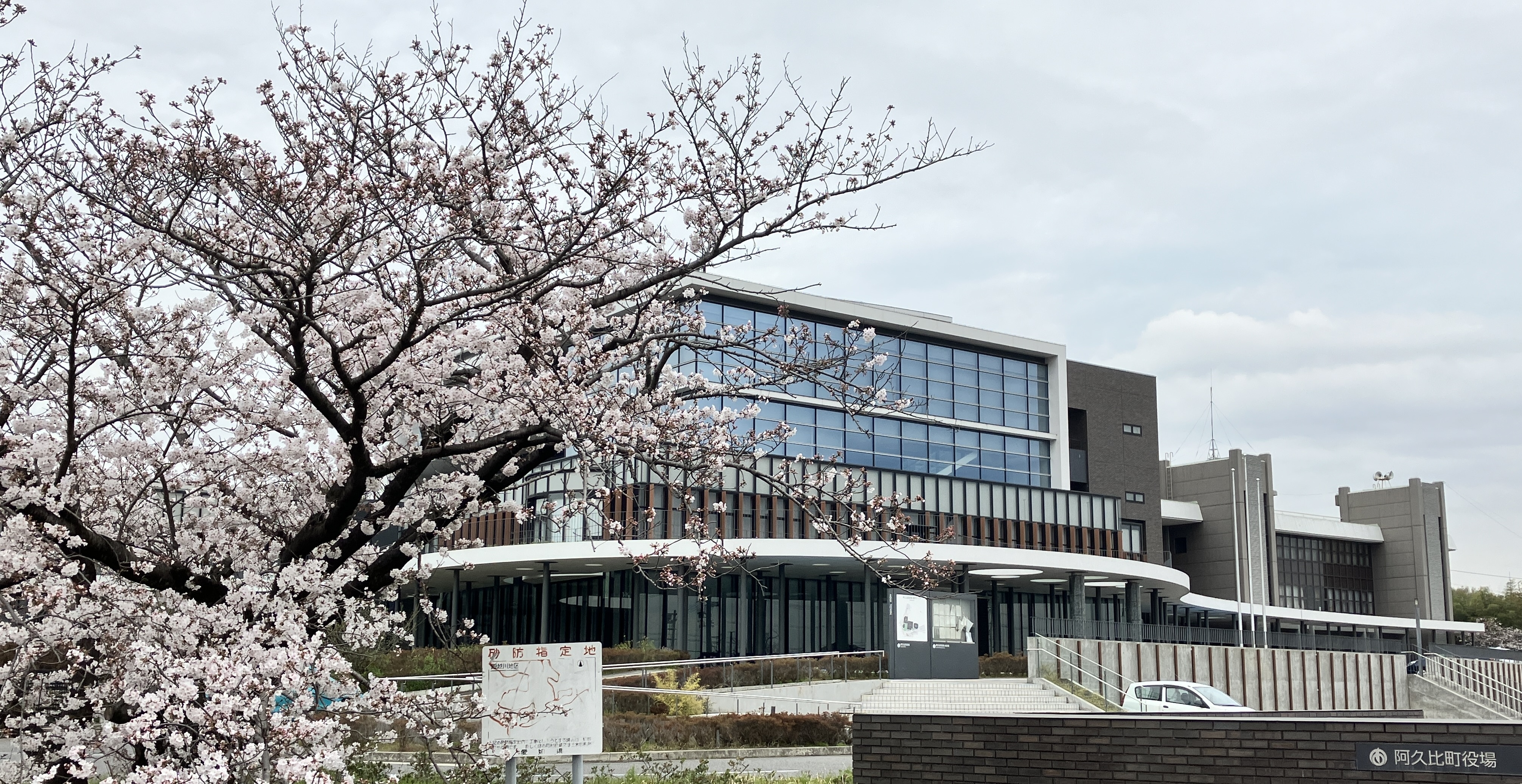 阿久比町役場庁舎と桜