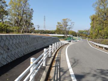 車道からみた遊歩道