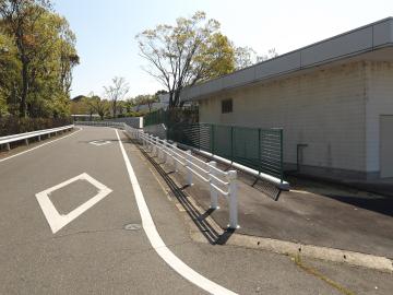 陸上競技場からみた遊歩道