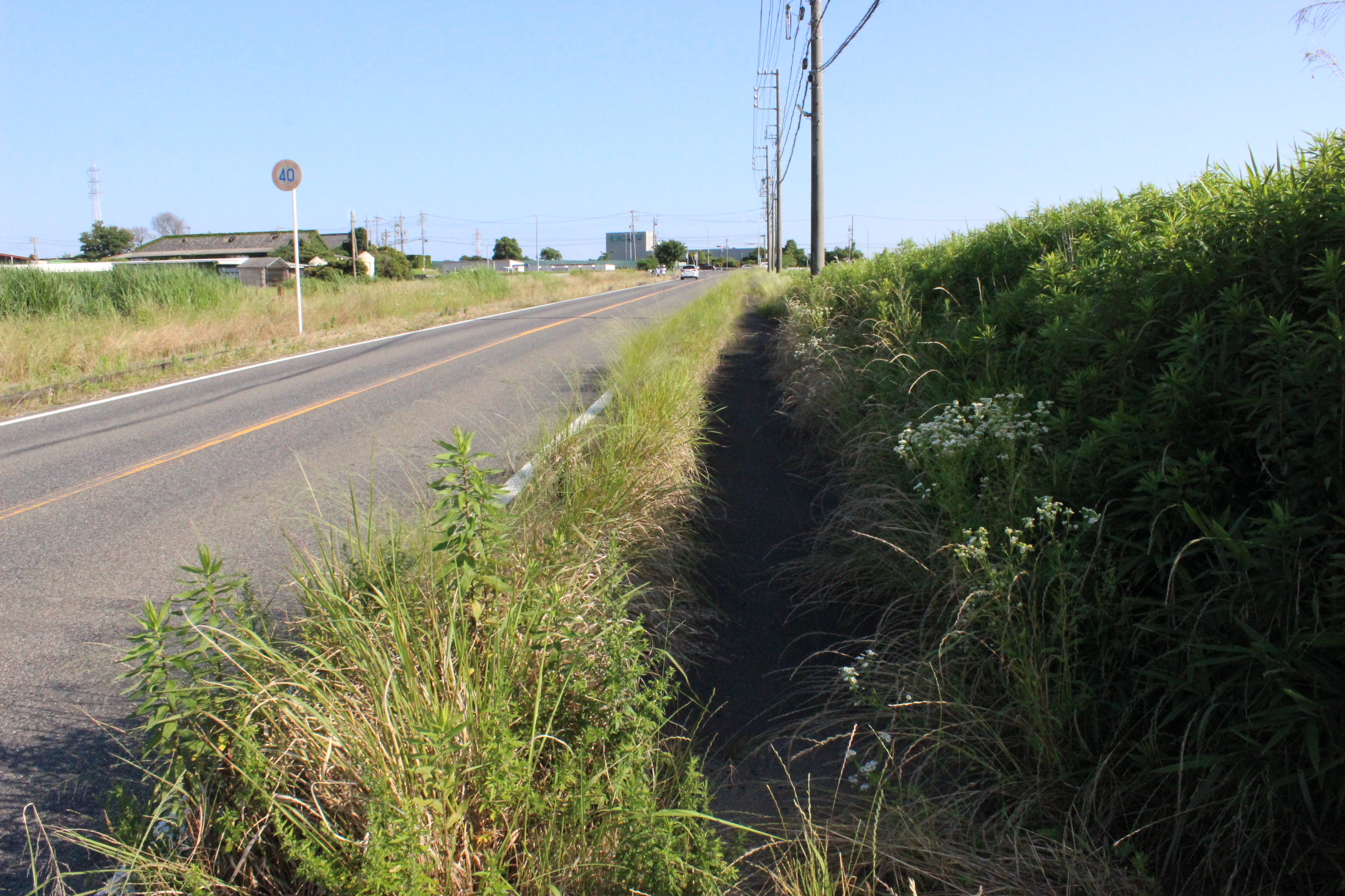 草木岩滑線歩道